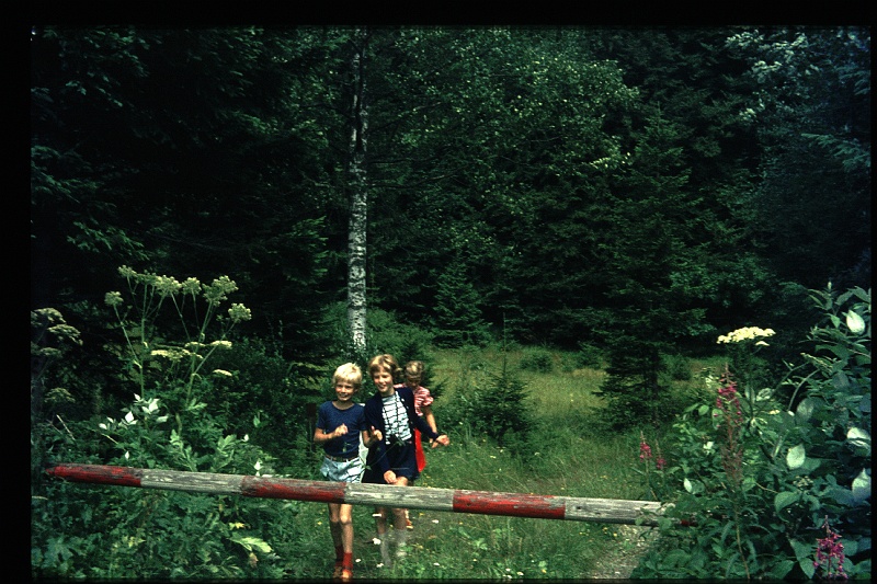 05.Boehmerwald  aug 1973 Brigitte,Marion,Peter.JPG